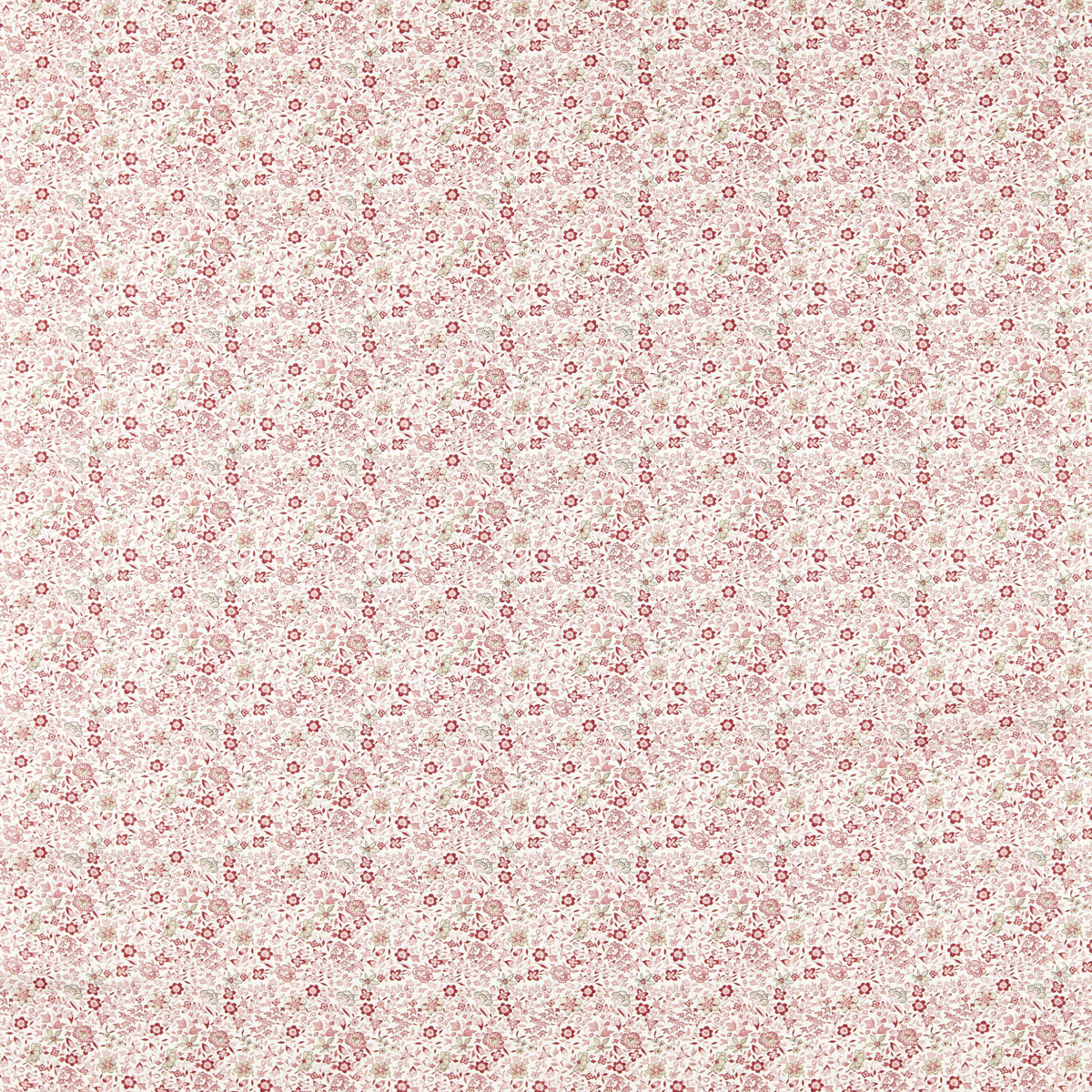 Clarke & Clarke GAMTHI BLUSH Fabric