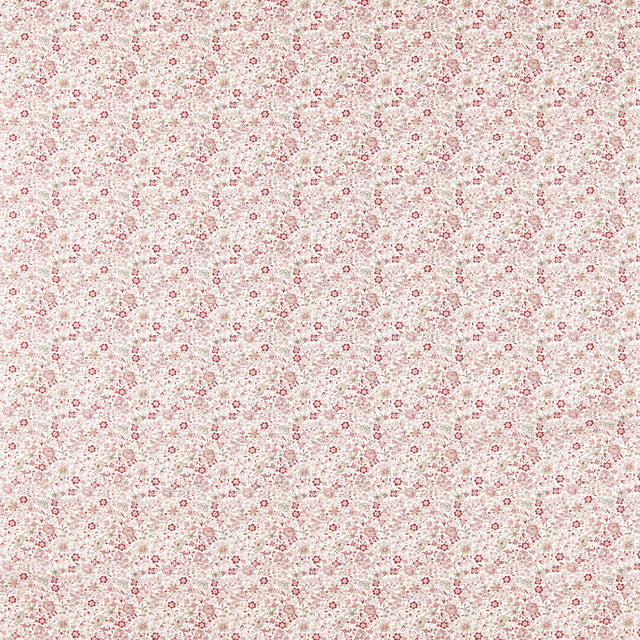 Clarke & Clarke GAMTHI BLUSH Fabric