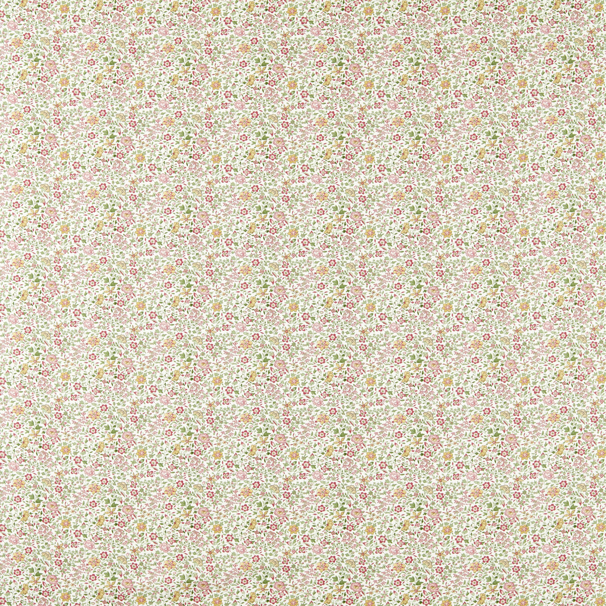 Clarke & Clarke GAMTHI SAGE/BLUSH Fabric