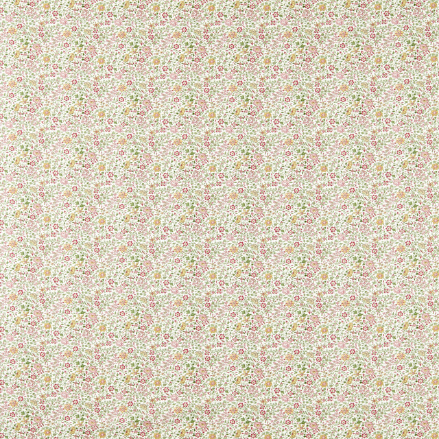 Clarke & Clarke GAMTHI SAGE/BLUSH Fabric