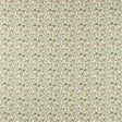 Clarke & Clarke HATHI SAGE Fabric