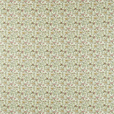 Clarke & Clarke HATHI SAGE Fabric