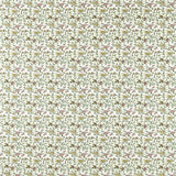 Clarke & Clarke HATHI SAGE/BLUSH Fabric