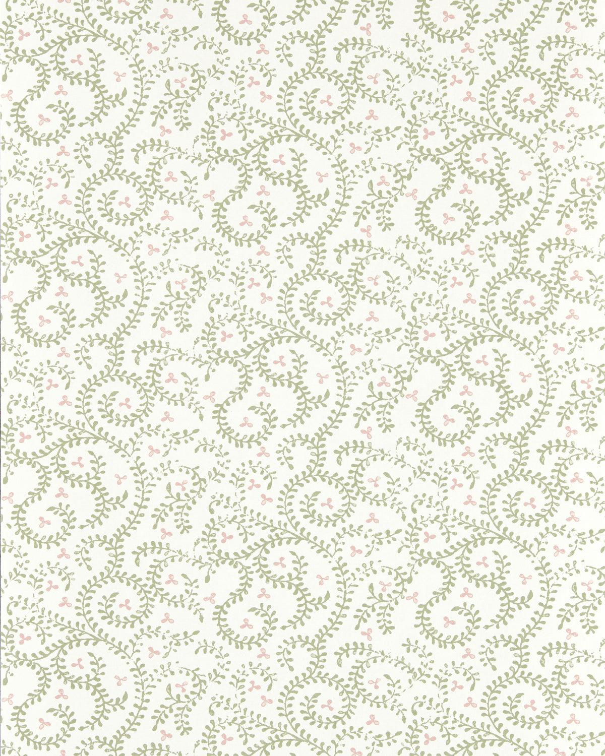 Clarke & Clarke BUTA SAGE WP Wallpaper