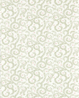Clarke & Clarke BUTA SAGE WP Wallpaper