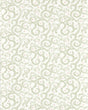 Clarke & Clarke BUTA SAGE WP Wallpaper