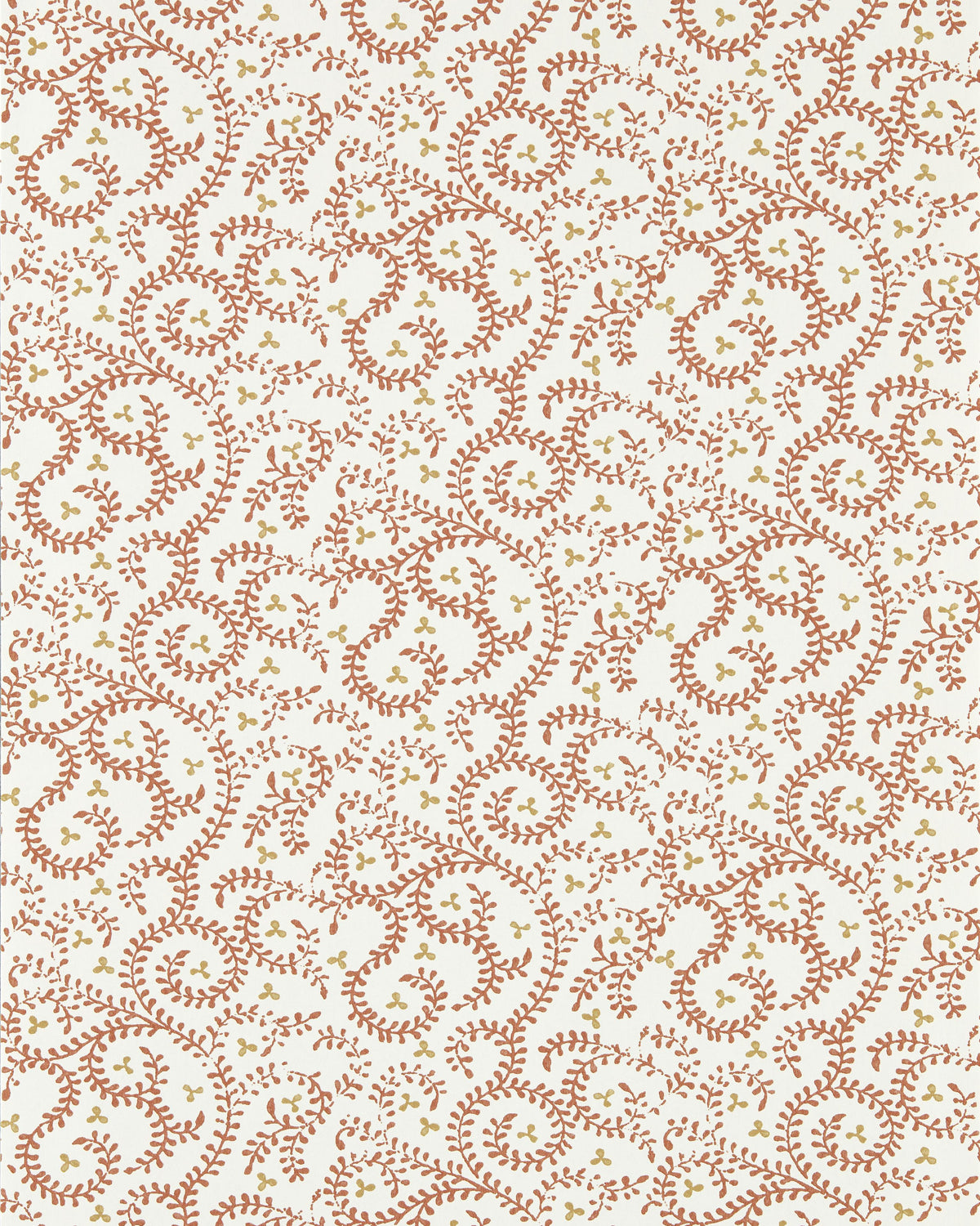 Clarke & Clarke BUTA SPICE WP Wallpaper