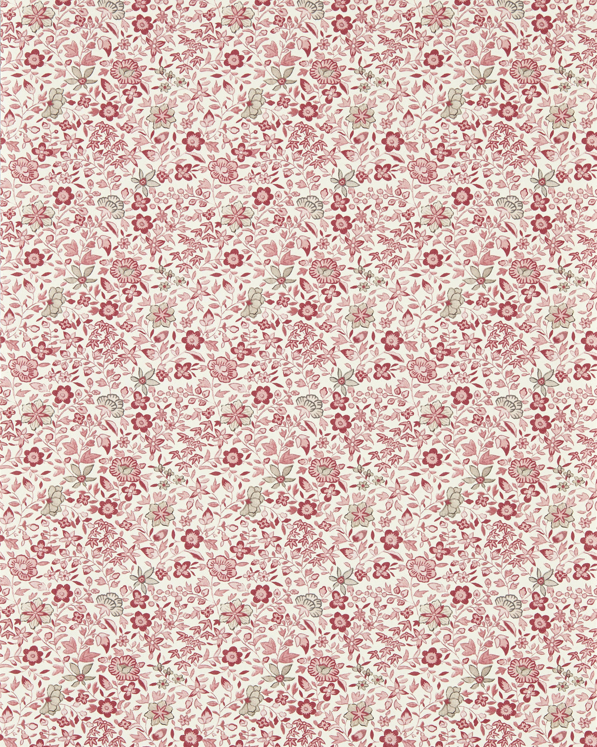 Clarke & Clarke GAMTHI BLUSH WP Wallpaper