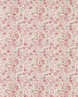 Clarke & Clarke GAMTHI BLUSH WP Wallpaper