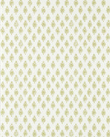 Clarke & Clarke NANDANA APPLE WP Wallpaper