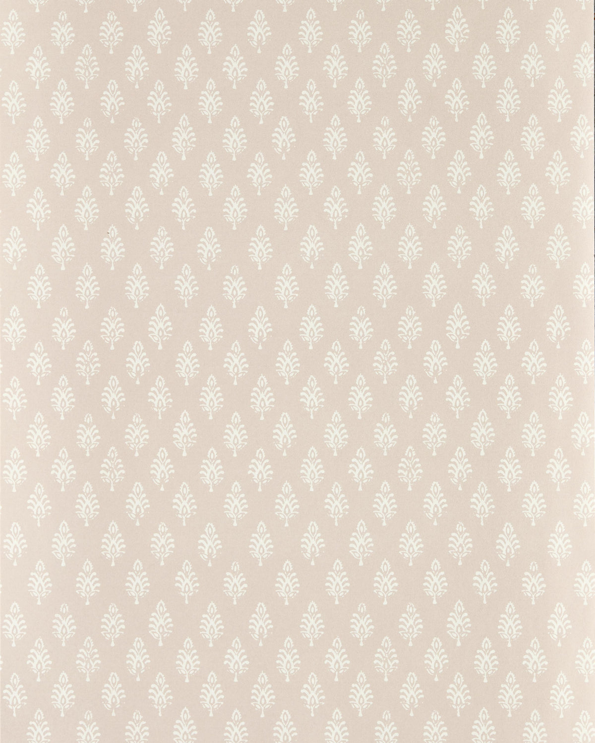 Clarke & Clarke NANDANA BLUSH WP Wallpaper
