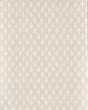 Clarke & Clarke NANDANA BLUSH WP Wallpaper