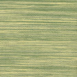 Maxwell AGAVE (WP) A51 KIWI Wallpaper