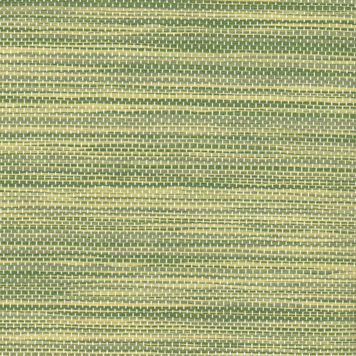Maxwell AGAVE (WP) A51 KIWI Wallpaper