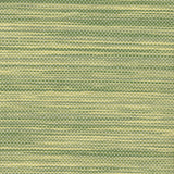 Maxwell AGAVE (WP) A51 KIWI Wallpaper