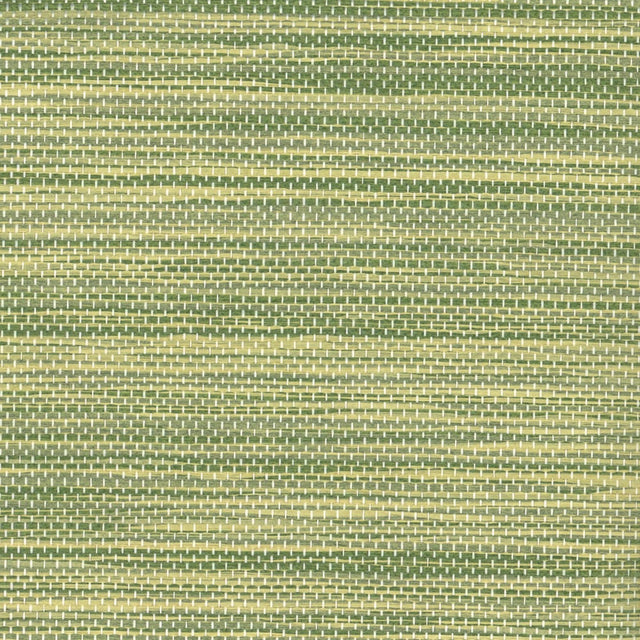 Maxwell AGAVE (WP) A51 KIWI Wallpaper