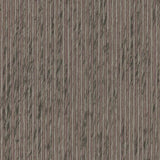 Maxwell FOSSIL (WP) A14 JAVA Wallpaper