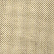 Maxwell YUCCA (WP) A64 TOAST Wallpaper