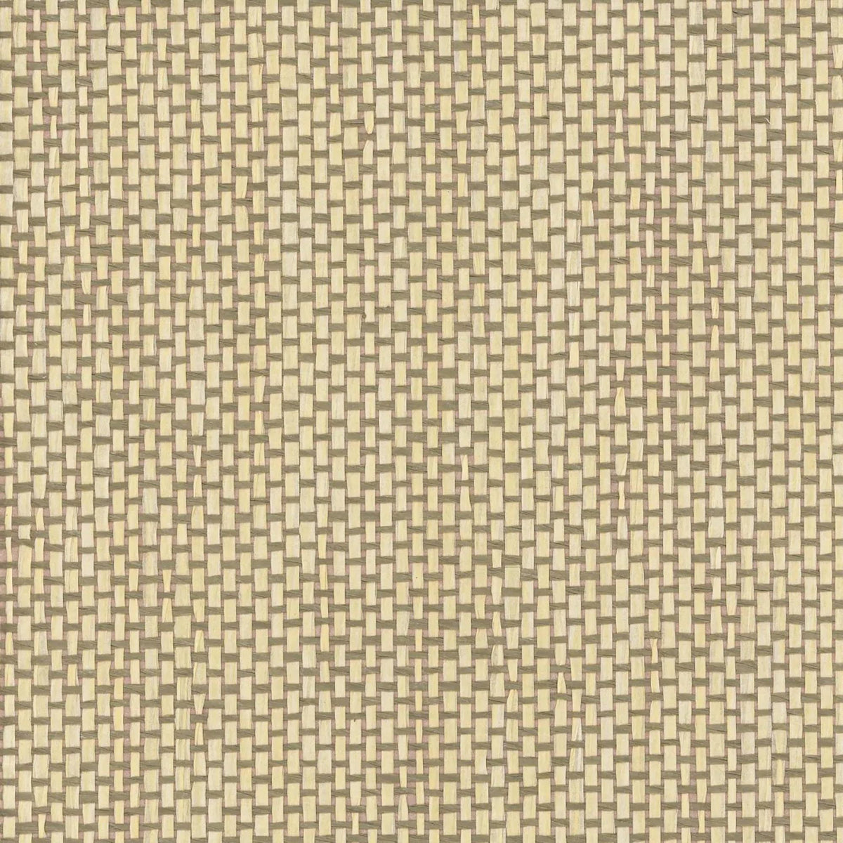 Maxwell YUCCA (WP) A64 TOAST Wallpaper