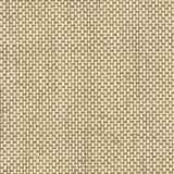 Maxwell YUCCA (WP) A64 TOAST Wallpaper