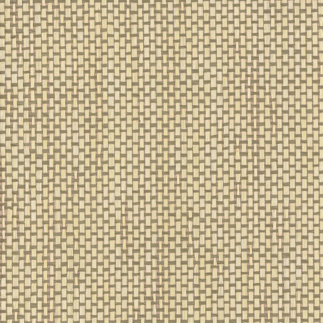 Maxwell YUCCA (WP) A64 TOAST Wallpaper