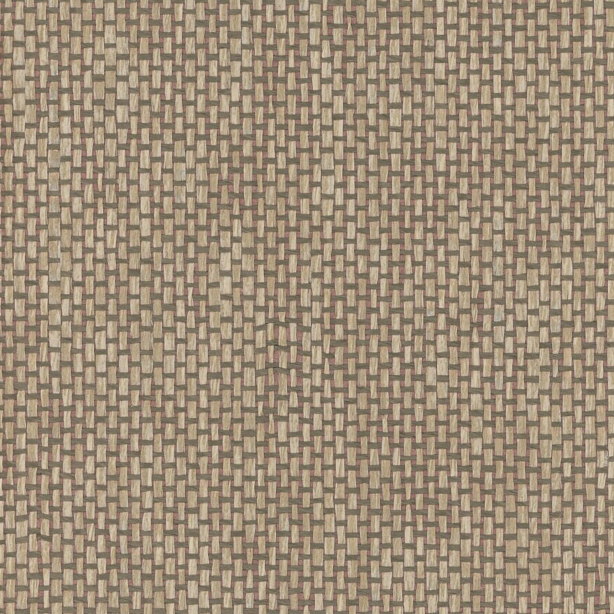 Maxwell YUCCA (WP) A80 STONE Wallpaper