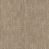 Maxwell YUCCA (WP) A80 STONE Wallpaper