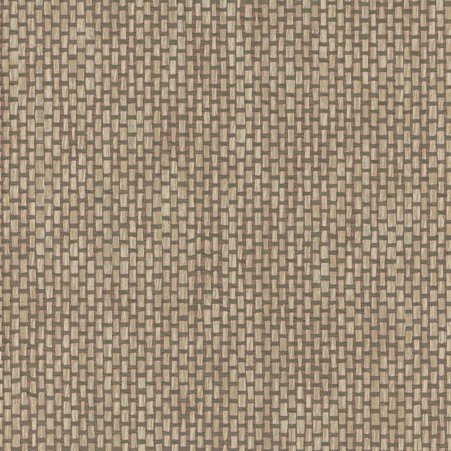 Maxwell YUCCA (WP) A80 STONE Wallpaper