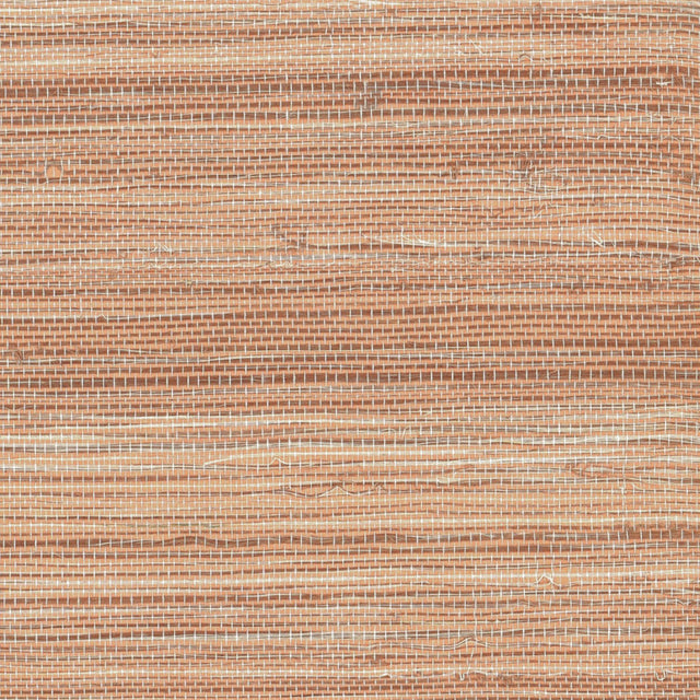 Maxwell SUNSTONE (WP) S20211 TANGERINE Wallpaper