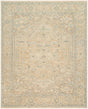 Surya Biscayne BSY-2323 2' x 3' Handmade Rug