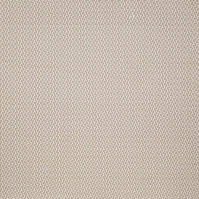 Pindler TRACE FLAX Fabric