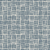 Pure Edit ATLAS DENIM Fabric