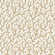 Pure Edit INAYA AMBER Fabric
