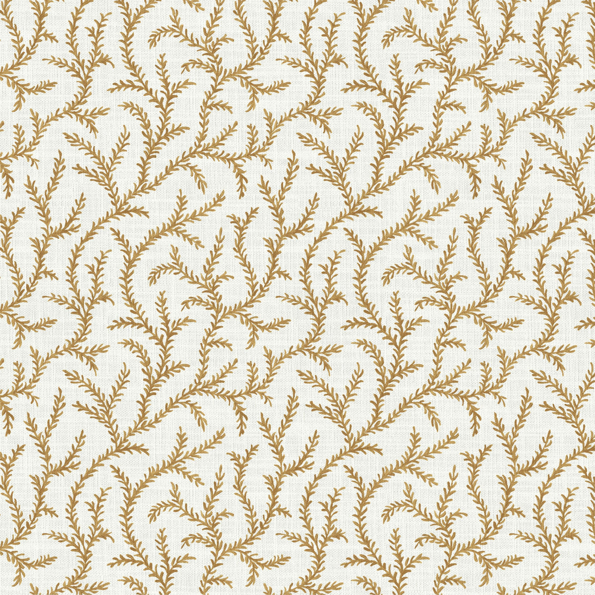 Pure Edit INAYA AMBER Fabric