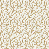 Pure Edit INAYA AMBER Fabric