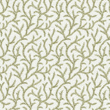Pure Edit INAYA MOSS Fabric