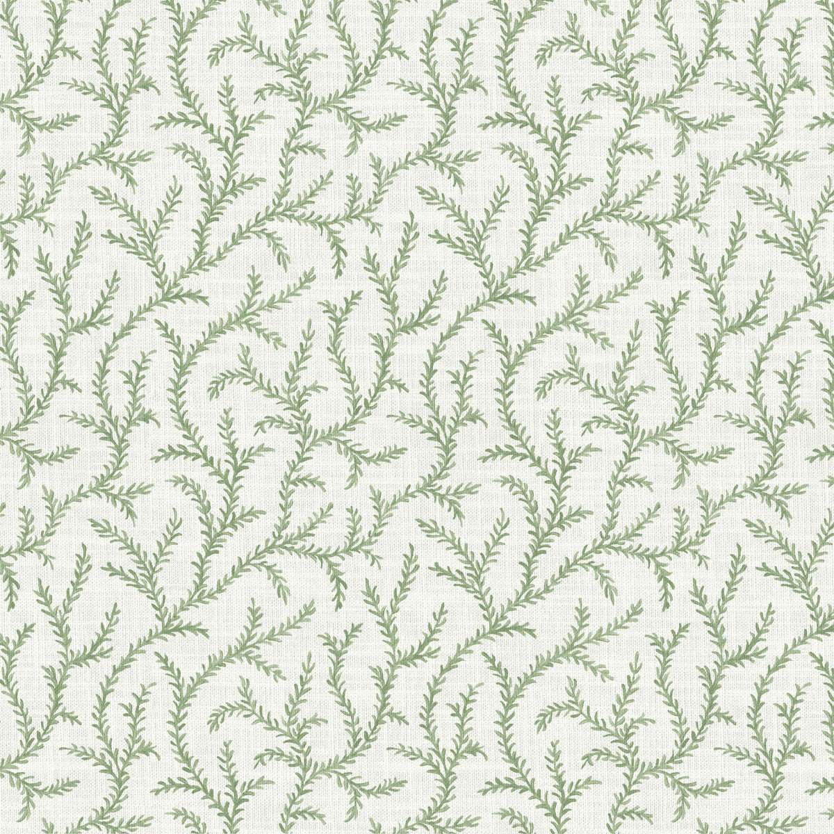 Pure Edit INAYA SAGE Fabric