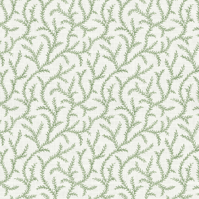 Pure Edit INAYA SAGE Fabric