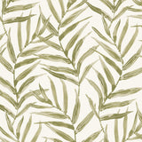 Pure Edit KI KALE Fabric