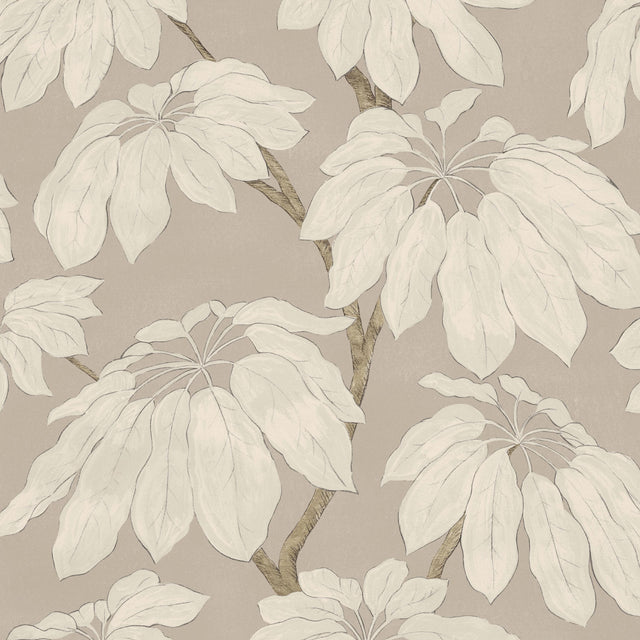 Pure Edit PONDICHERRY CLAY Fabric