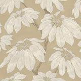 Pure Edit PONDICHERRY LINEN Fabric