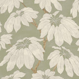 Pure Edit PONDICHERRY SAGE Fabric