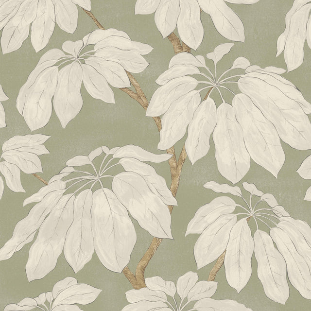 Pure Edit PONDICHERRY SAGE Fabric