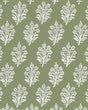 Pure Edit DABU WP OLIVE Wallpaper