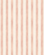 Pure Edit TASSA PETITE WP ROSE Wallpaper