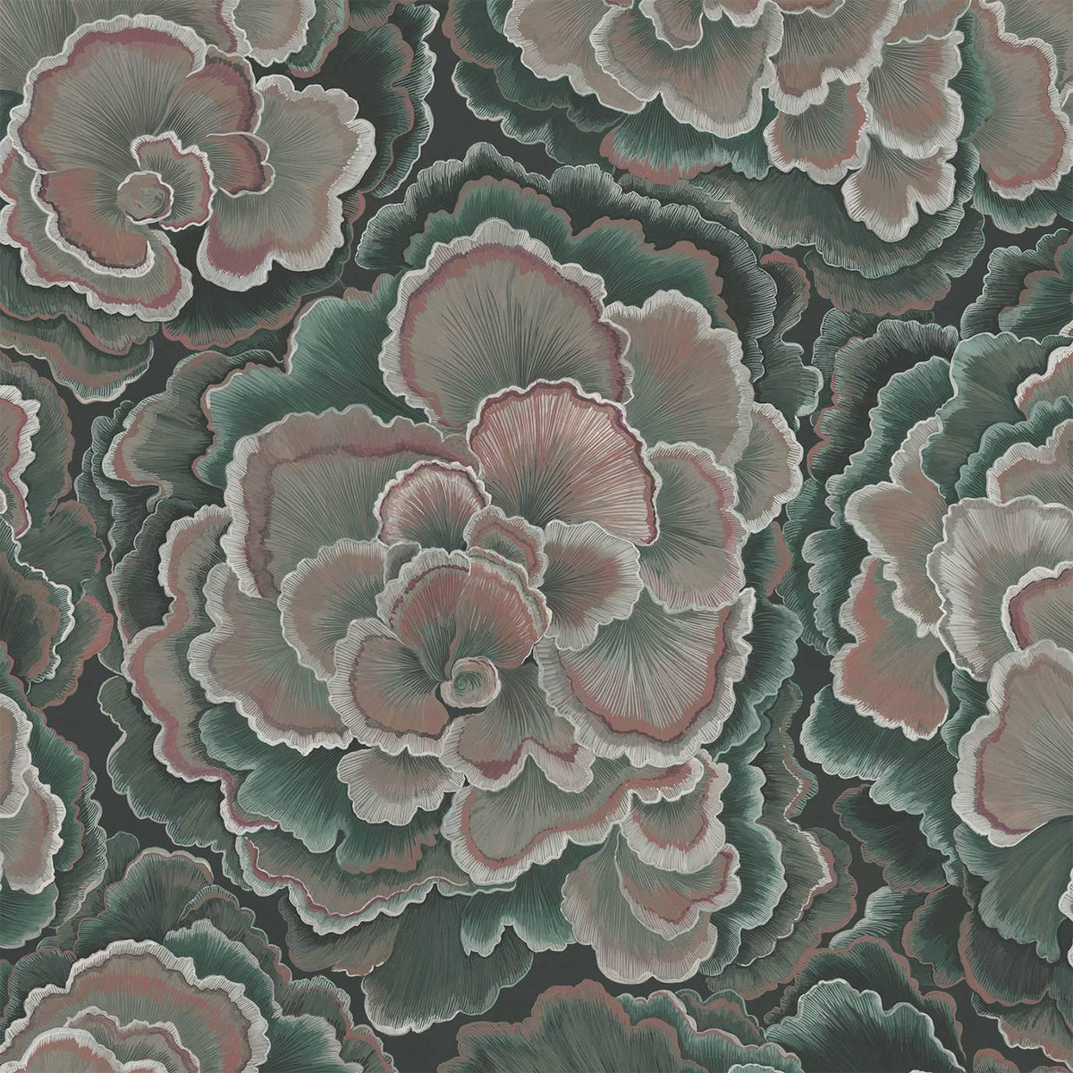 House of Hackney TRAMETES Wallpaper - Hosta (9'10" - full height)
