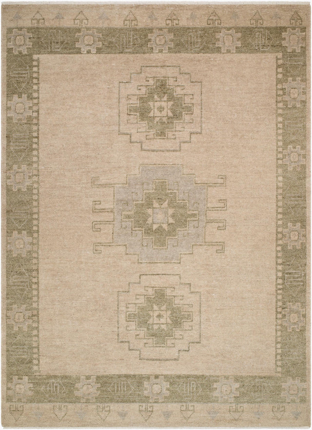 Surya Alphonso AHP-2301 10' x 14' Handmade Rug