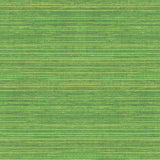 Galerie G45422 Just Kitchens Grasscloth Green Wallpaper G45422 Green Wallpaper