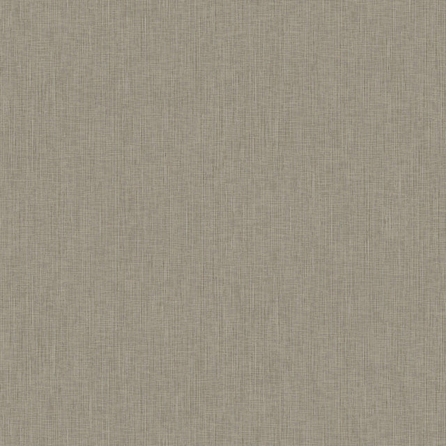 Galerie WT71755 Wall Textures Vertical Streak Beige Wallpaper WT71755 Beige Wallpaper