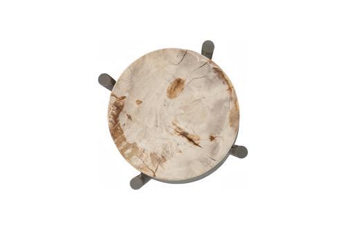 Phillips Collection Petrified Slice Round Base Large Side Table